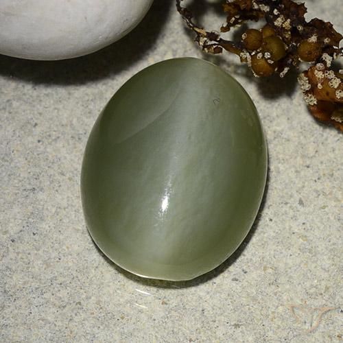 8.99ct Naturale Verde muschio Occhio di gatto actinolite, Ovale, Traslucido