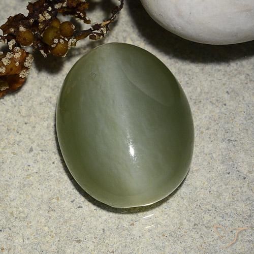 Occhio di gatto actinolite Verde muschio naturale da 8.99 ct, Ovale, Traslucido