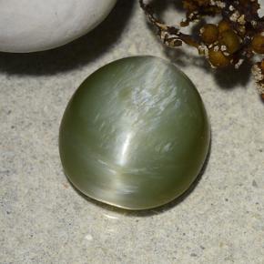 Occhio di gatto actinolite Verde naturale da 4.58 ct, Taglio ovale, Traslucido