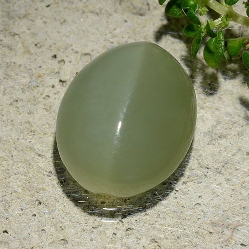 6.57ct Naturale Verde grigiastro Occhio di gatto actinolite, Ovale, Traslucido