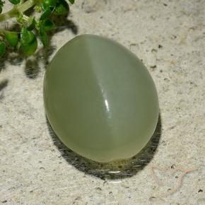 Occhio di gatto actinolite Verde grigiastro naturale da 6.57 ct, Ovale, Traslucido
