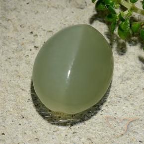 Occhio di gatto actinolite Verde grigiastro naturale da 6.57 ct, Ovale, Traslucido