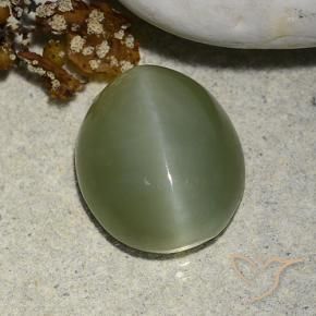 Occhio di gatto actinolite Verde terroso naturale da 5.93 ct, Ovale, Traslucido