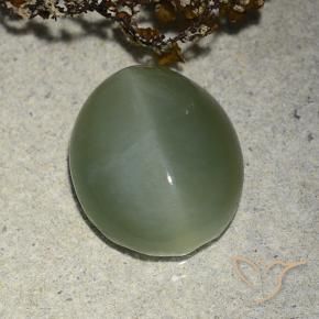 Occhio di gatto actinolite Verde medio naturale da 7.31 ct, Ovale, Traslucido