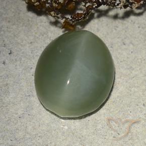 Occhio di gatto actinolite Verde medio naturale da 7.31 ct, Ovale, Traslucido