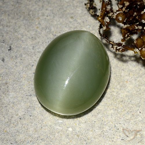 5.91ct Naturale Verde terroso Occhio di gatto actinolite, Ovale, Traslucido