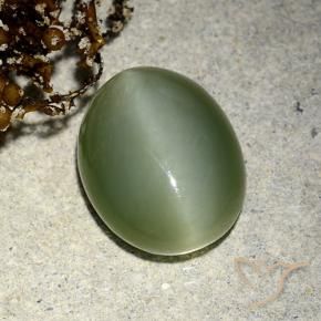 Occhio di gatto actinolite Verde terroso naturale da 5.91 ct, Ovale, Traslucido
