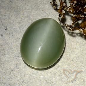 Occhio di gatto actinolite Verde terroso naturale da 5.91 ct, Ovale, Traslucido