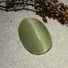 Actinolite cat's eye naturale verde da 4,89 ct, taglio ovale, traslucido
