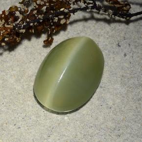Actinolite cat's eye naturale verde da 4,89 ct, taglio ovale, traslucido