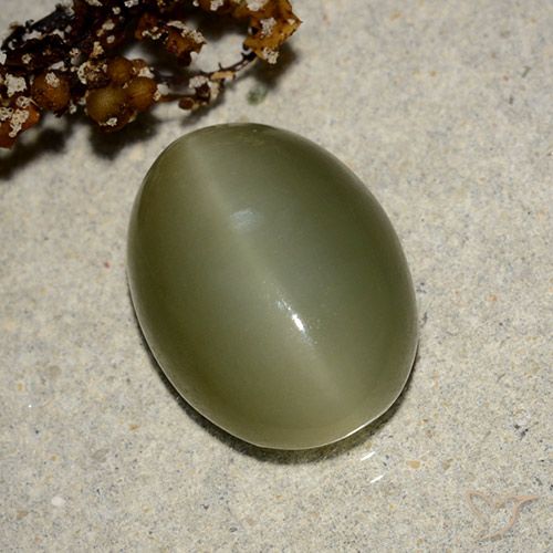 7.05ct Naturale Verde scuro Occhio di gatto actinolite, Ovale, Traslucido