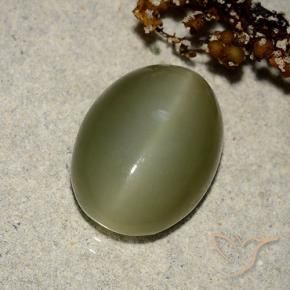 Occhio di gatto actinolite Verde scuro naturale da 7.05 ct, Ovale, Traslucido