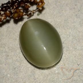 Occhio di gatto actinolite Verde scuro naturale da 7.05 ct, Ovale, Traslucido