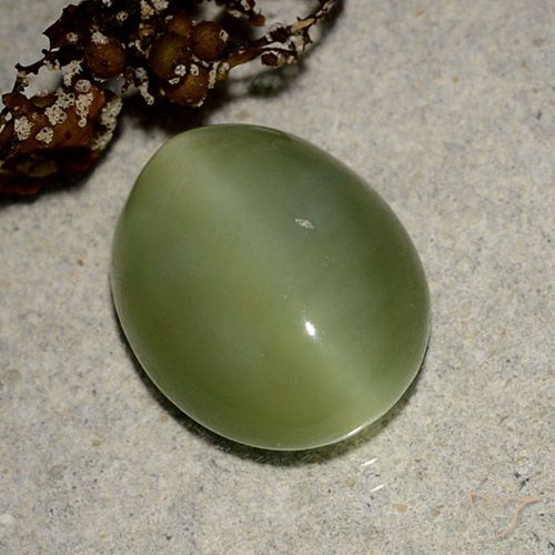 Occhio di gatto actinolite Verde medio naturale da 6.09 ct, Taglio ovale, Traslucido