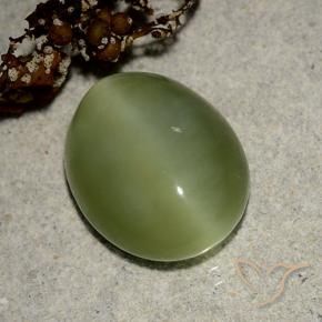 Occhio di gatto actinolite Verde medio naturale da 6.09 ct, Taglio ovale, Traslucido