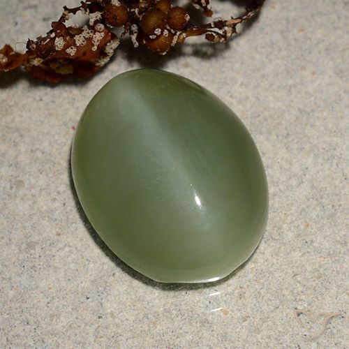 6.88ct Naturale Verde medio Occhio di gatto actinolite, Ovale, Traslucido