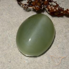 Occhio di gatto actinolite Verde medio naturale da 6.88 ct, Ovale, Traslucido