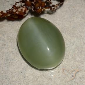 Occhio di gatto actinolite Verde medio naturale da 6.88 ct, Ovale, Traslucido