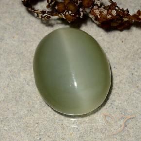 Occhio di gatto actinolite Verde giallastro naturale da 5.10 ct, Ovale, Traslucido