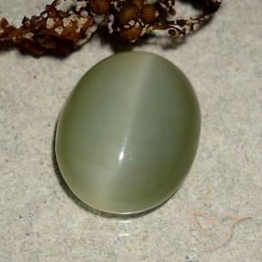 Occhio di gatto actinolite Verde giallastro naturale da 5.10 ct, Ovale, Traslucido
