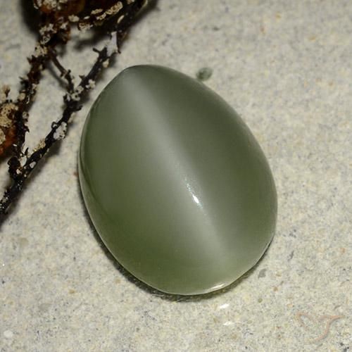6.84ct Naturale Verde caldo Occhio di gatto actinolite, Ovale, Traslucido