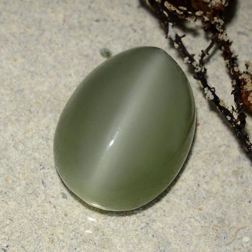 Occhio di gatto actinolite Verde caldo naturale da 6.84 ct, Ovale, Traslucido
