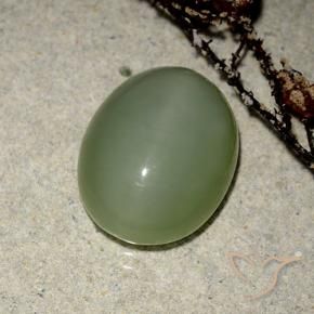 Occhio di gatto actinolite Verde caldo naturale da 6.99 ct, Ovale, Traslucido