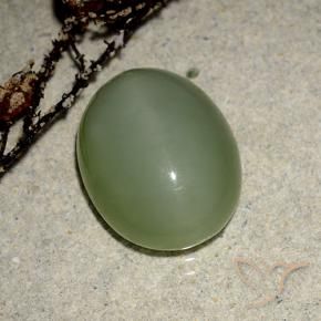 Occhio di gatto actinolite Verde caldo naturale da 6.99 ct, Ovale, Traslucido