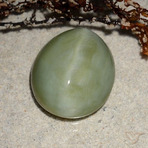 6.52ct Naturale Verde caldo Occhio di gatto actinolite, Ovale, Traslucido