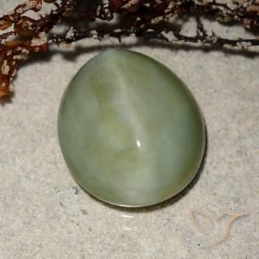 Occhio di gatto actinolite Verde caldo naturale da 6.52 ct, Ovale, Traslucido