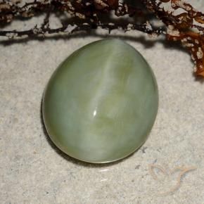 Occhio di gatto actinolite Verde caldo naturale da 6.52 ct, Ovale, Traslucido