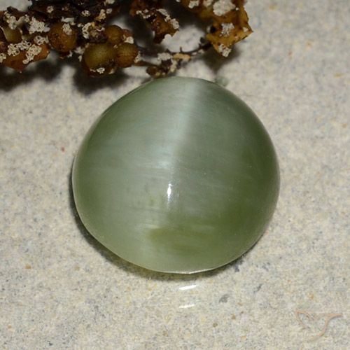 4.90ct Naturale Verde caldo Occhio di gatto actinolite, Ovale, Traslucido