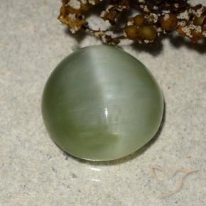 Occhio di gatto actinolite Verde caldo naturale da 4.90 ct, Ovale, Traslucido