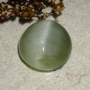 Occhio di gatto actinolite Verde caldo naturale da 4.90 ct, Ovale, Traslucido