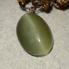 Actinolite cat's eye naturale verde da 4,69 ct, taglio ovale, traslucido