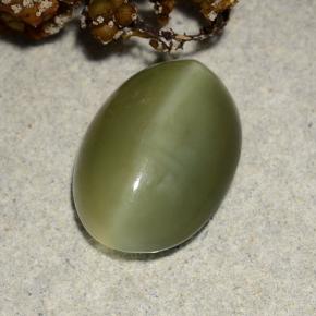 Actinolite cat's eye naturale verde da 4,69 ct, taglio ovale, traslucido