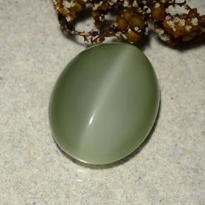 Occhio di gatto actinolite Verde terroso naturale da 6.10 ct, Taglio ovale, Traslucido