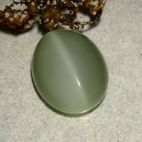 Occhio di gatto actinolite Verde terroso naturale da 6.10 ct, Taglio ovale, Traslucido
