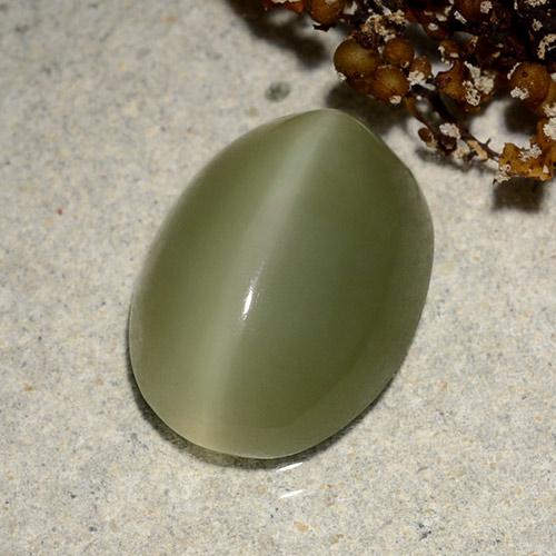 Occhio di gatto actinolite Verde giallastro naturale da 6.18 ct, Taglio ovale, Traslucido
