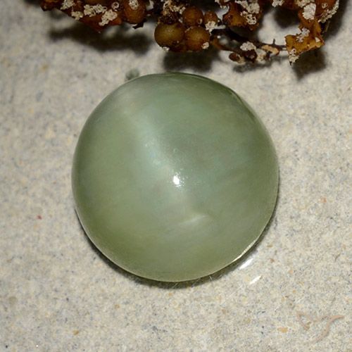 6.42ct Naturale Verde caldo Occhio di gatto actinolite, Ovale, Traslucido