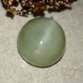 Occhio di gatto actinolite Verde caldo naturale da 6.42 ct, Ovale, Traslucido