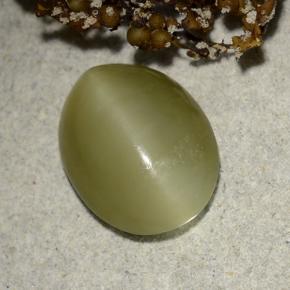 Occhio di gatto actinolite Verde naturale da 4.55 ct, Taglio ovale, Traslucido