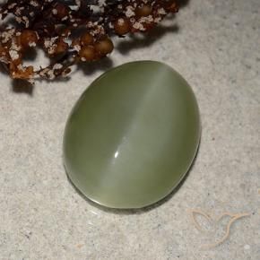 Occhio di gatto actinolite Verde grigiastro naturale da 6.21 ct, Ovale, Traslucido