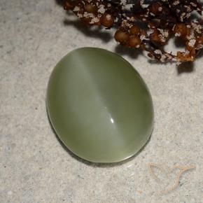 Occhio di gatto actinolite Verde grigiastro naturale da 6.21 ct, Ovale, Traslucido