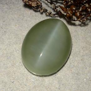 Actinolite cat's eye naturale verde da 8,86 ct, taglio ovale, traslucido