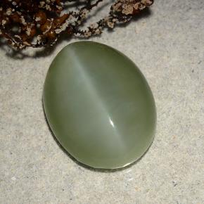Actinolite cat's eye naturale verde da 8,86 ct, taglio ovale, traslucido