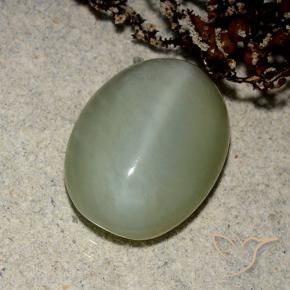 Occhio di gatto actinolite Verde marroncino naturale da 5.43 ct, Ovale, Traslucido