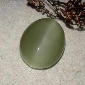 Occhio di gatto actinolite Verde marroncino naturale da 8.10 ct, Ovale, Traslucido