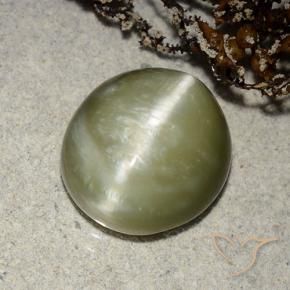 Occhio di gatto actinolite Verde giallastro naturale da 5.32 ct, Ovale, Traslucido