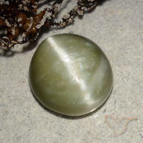 Occhio di gatto actinolite Verde giallastro naturale da 5.32 ct, Ovale, Traslucido
